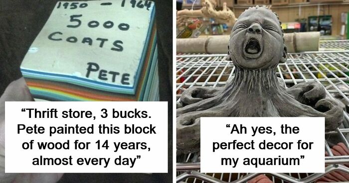 65 Absurd Secondhand Finds That Make You Seriously Question Reality (New Pics)