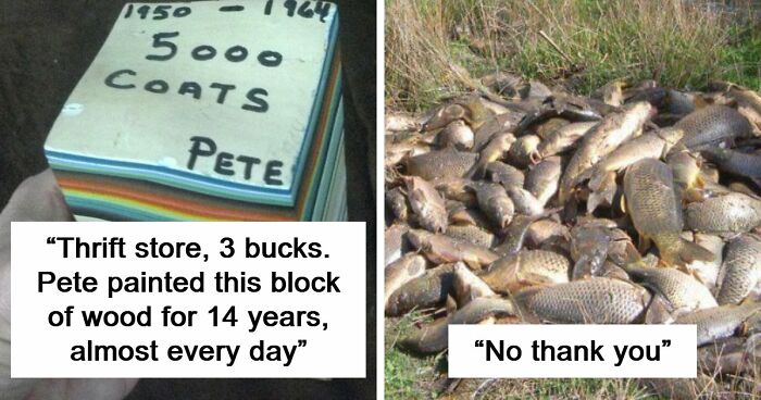 65 Absurd Secondhand Finds That Make You Seriously Question Reality (New Pics)