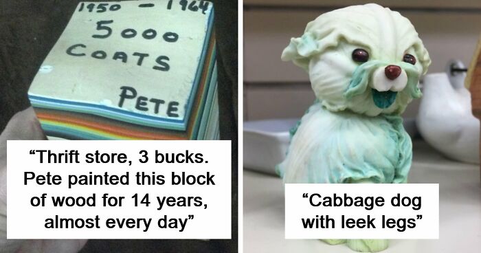 65 Absurd Secondhand Finds That Make You Seriously Question Reality (New Pics)