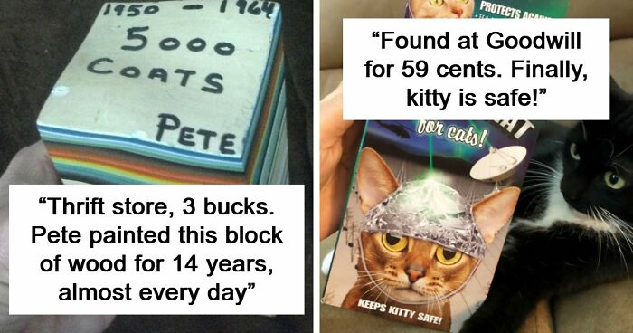 65 Absurd Secondhand Finds That Make You Seriously Question Reality (New Pics)