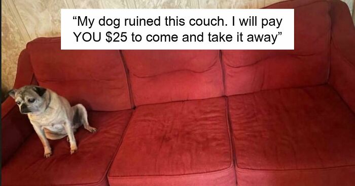65 Absurd Secondhand Finds That Make You Seriously Question Reality (New Pics)