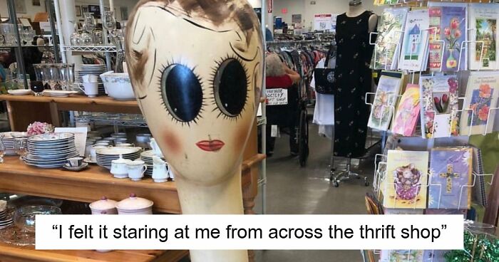 65 Absurd Secondhand Finds That Make You Seriously Question Reality (New Pics)