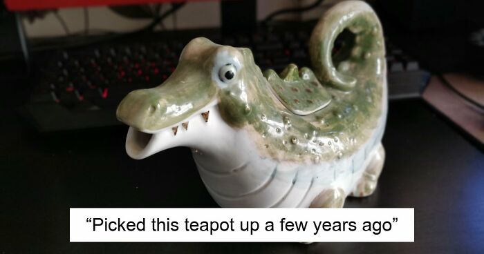 65 Absurd Secondhand Finds That Make You Seriously Question Reality (New Pics)