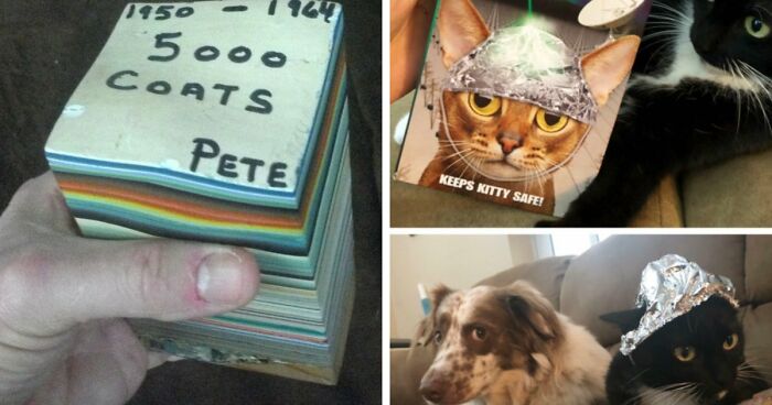 65 Absurd Secondhand Finds That Make You Seriously Question Reality (New Pics)