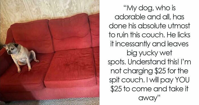 65 Absurd Secondhand Finds That Make You Seriously Question Reality (New Pics)