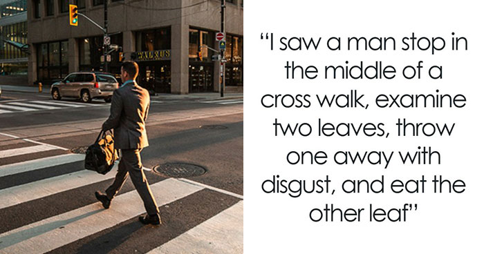 62 Times People Watched A Total Stranger Do Something So Absurd, They Questioned Their Own Sanity