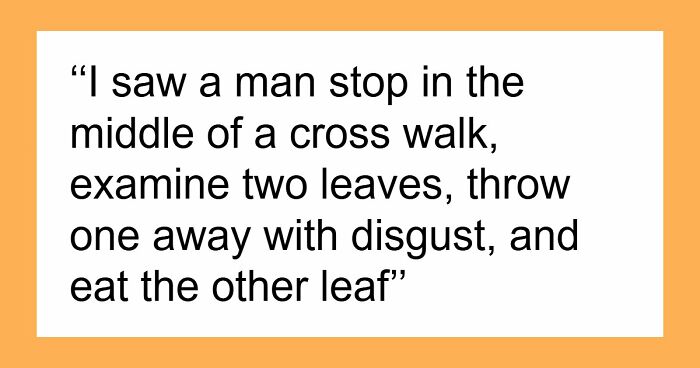 62 Times People Watched A Total Stranger Do Something So Absurd, They Questioned Their Own Sanity