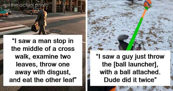 62 Times People Watched A Total Stranger Do Something So Absurd, They Questioned Their Own Sanity