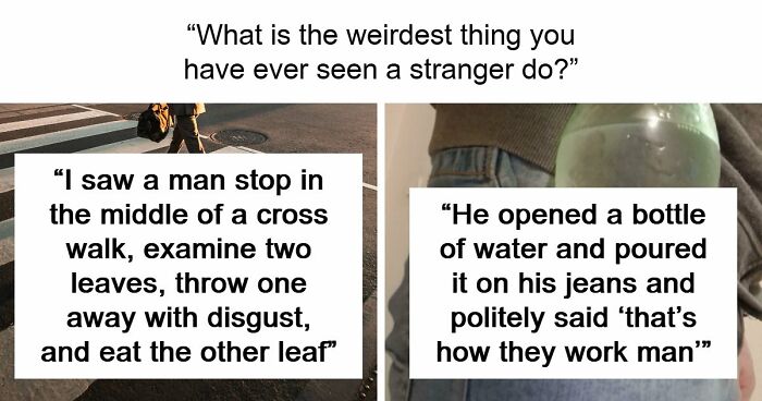 62 Times People Watched A Total Stranger Do Something So Absurd, They Questioned Their Own Sanity