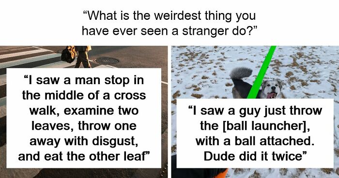 62 Times People Watched A Total Stranger Do Something So Absurd, They Questioned Their Own Sanity