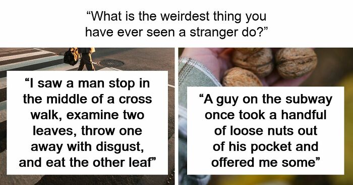 62 Times People Watched A Total Stranger Do Something So Absurd, They Questioned Their Own Sanity