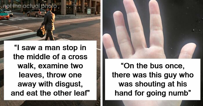 62 Times People Watched A Total Stranger Do Something So Absurd, They Questioned Their Own Sanity