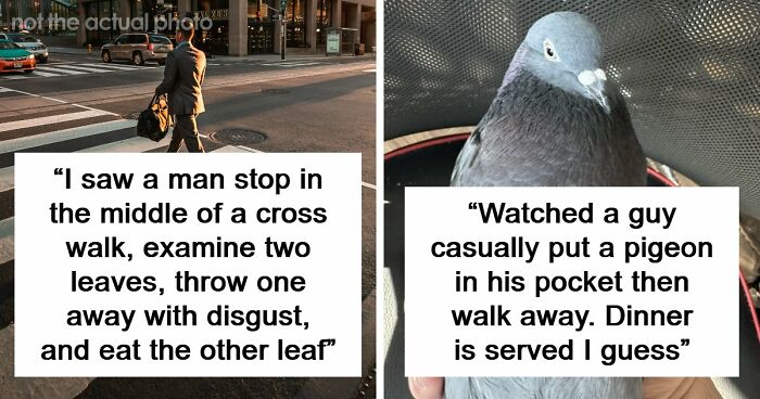 62 Times People Watched A Total Stranger Do Something So Absurd, They Questioned Their Own Sanity