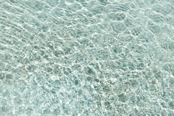 Rippling clear water surface with sunlit reflections, symbolizing the clarity needed to understand scientific facts, like crows holding grudges.