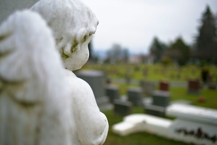 Cemetery with angel statue symbolizing digital afterlife