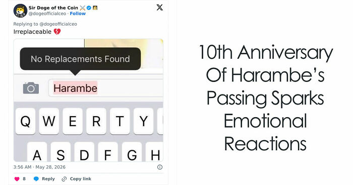 From Viral Memes To Heartfelt Tributes, Harambe’s 10th Anniversary Sparks Frenzy With White House In The Mix