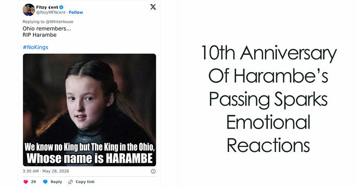 From Viral Memes To Heartfelt Tributes, Harambe’s 10th Anniversary Sparks Frenzy With White House In The Mix