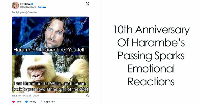 From Viral Memes To Heartfelt Tributes, Harambe’s 10th Anniversary Sparks Frenzy With White House In The Mix