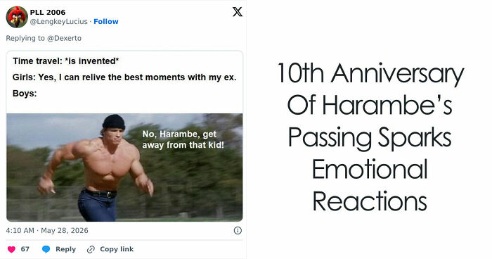 From Viral Memes To Heartfelt Tributes, Harambe’s 10th Anniversary Sparks Frenzy With White House In The Mix