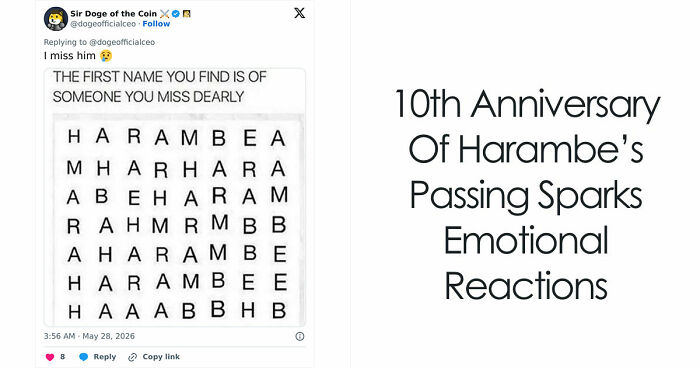 From Viral Memes To Heartfelt Tributes, Harambe’s 10th Anniversary Sparks Frenzy With White House In The Mix