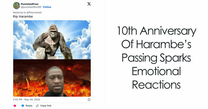 From Viral Memes To Heartfelt Tributes, Harambe’s 10th Anniversary Sparks Frenzy With White House In The Mix