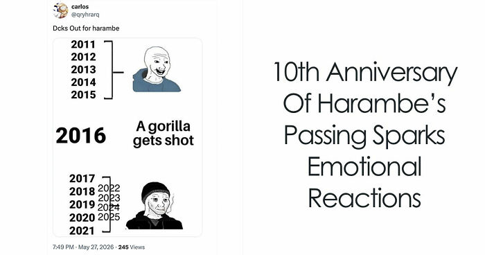 From Viral Memes To Heartfelt Tributes, Harambe’s 10th Anniversary Sparks Frenzy With White House In The Mix