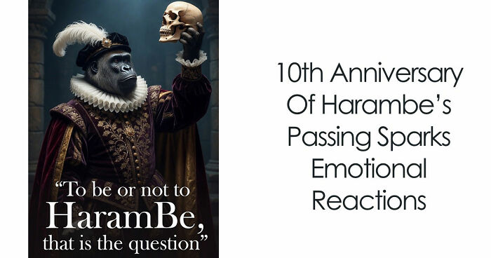 From Viral Memes To Heartfelt Tributes, Harambe’s 10th Anniversary Sparks Frenzy With White House In The Mix