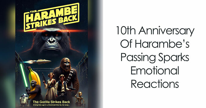 From Viral Memes To Heartfelt Tributes, Harambe’s 10th Anniversary Sparks Frenzy With White House In The Mix