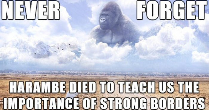 “His Legacy Still Lives On”: The White House Leads Reactions As The 10th Anniversary Of Harambe’s Passing Has Everyone Feeling Nostalgic
