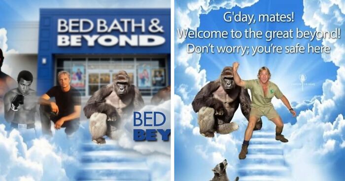 From Viral Memes To Heartfelt Tributes, Harambe’s 10th Anniversary Sparks Frenzy With White House In The Mix