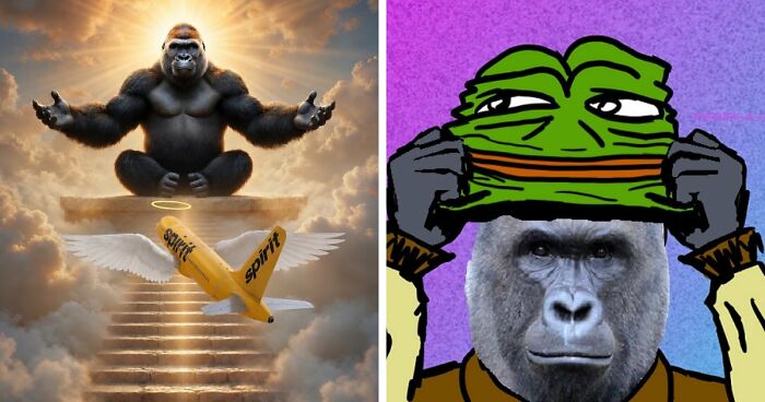 From Viral Memes To Heartfelt Tributes, Harambe’s 10th Anniversary Sparks Frenzy With White House In The Mix