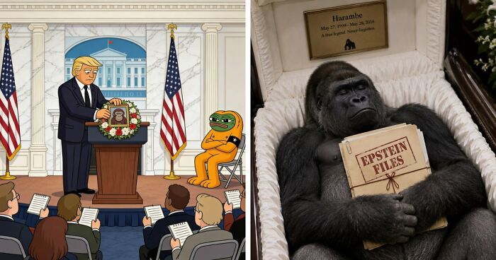 “His Legacy Still Lives On”: The White House Leads Reactions As The 10th Anniversary Of Harambe’s Passing Has Everyone Feeling Nostalgic
