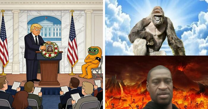 From Viral Memes To Heartfelt Tributes, Harambe’s 10th Anniversary Sparks Frenzy With White House In The Mix