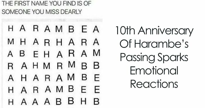 From Viral Memes To Heartfelt Tributes, Harambe’s 10th Anniversary Sparks Frenzy With White House In The Mix
