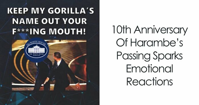 From Viral Memes To Heartfelt Tributes, Harambe’s 10th Anniversary Sparks Frenzy With White House In The Mix