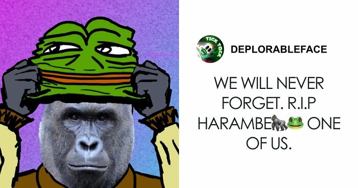 From Viral Memes To Heartfelt Tributes, Harambe’s 10th Anniversary Sparks Frenzy With White House In The Mix