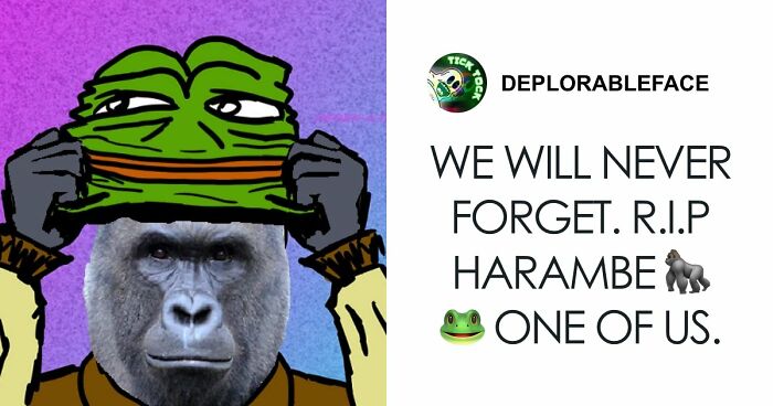 From Viral Memes To Heartfelt Tributes, Harambe’s 10th Anniversary Sparks Frenzy With White House In The Mix