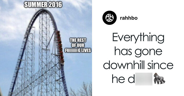 From Viral Memes To Heartfelt Tributes, Harambe’s 10th Anniversary Sparks Frenzy With White House In The Mix