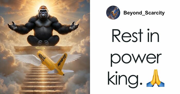 From Viral Memes To Heartfelt Tributes, Harambe’s 10th Anniversary Sparks Frenzy With White House In The Mix