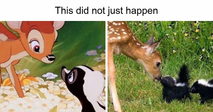 If You Had A Rough Month, These Animal Memes Might Help You Feel A Little Better (New Pics)