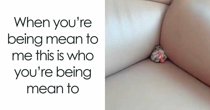 If You Had A Rough Month, These Animal Memes Might Help You Feel A Little Better (New Pics)