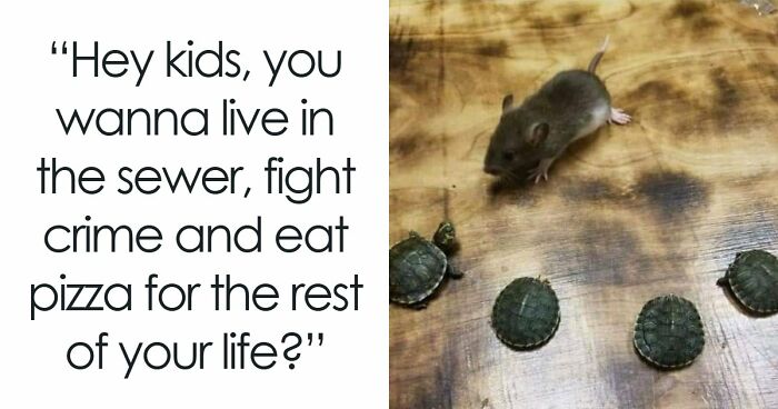 If You Had A Rough Month, These Animal Memes Might Help You Feel A Little Better (New Pics)