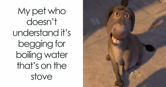 If You Had A Rough Month, These Animal Memes Might Help You Feel A Little Better (New Pics)