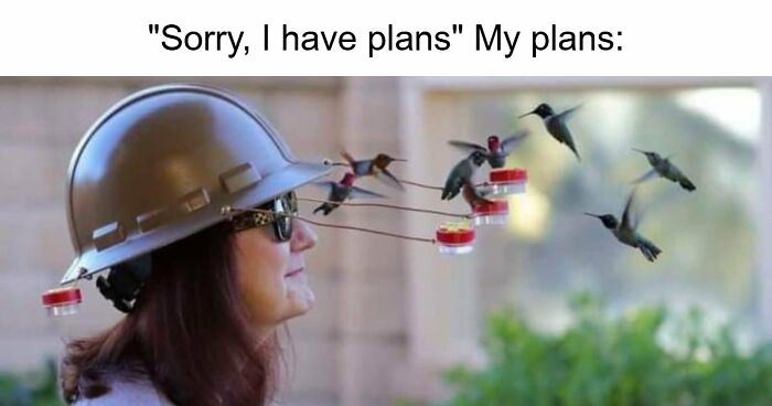 If You Had A Rough Month, These Animal Memes Might Help You Feel A Little Better (New Pics)