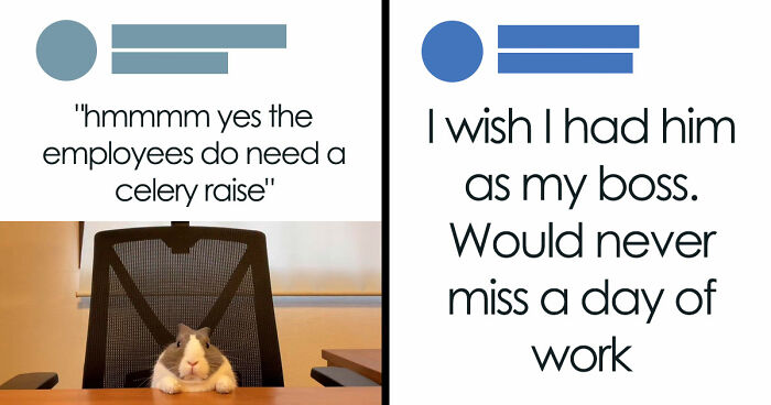 If You Had A Rough Month, These Animal Memes Might Help You Feel A Little Better (New Pics)