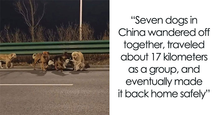 24 Fascinating Animal Facts From ‘Around The World’