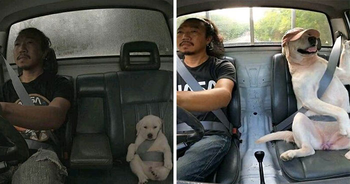 Here Are 55 Wholesome Pics To Beat Your Doomscrolling Habit (New Pics)