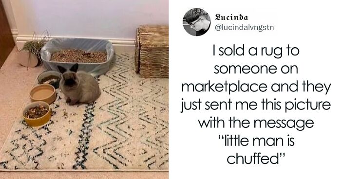 Here Are 55 Wholesome Pics To Beat Your Doomscrolling Habit (New Pics)
