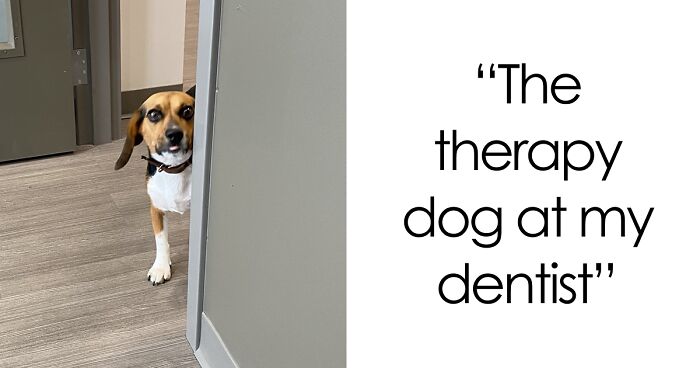 46 Times Doctors’ Awesome Sense Of Humor Made Everything Less Scary (New Pics)