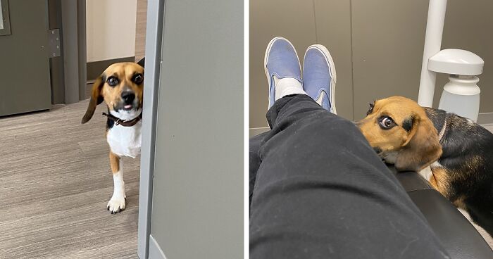 46 Times Doctors’ Awesome Sense Of Humor Made Everything Less Scary (New Pics)